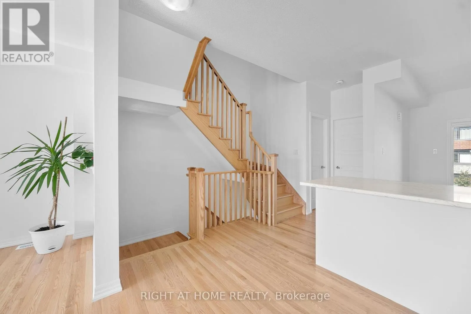 55 DELANO WAY