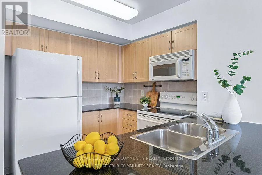 215 - 50 DISERA DRIVE