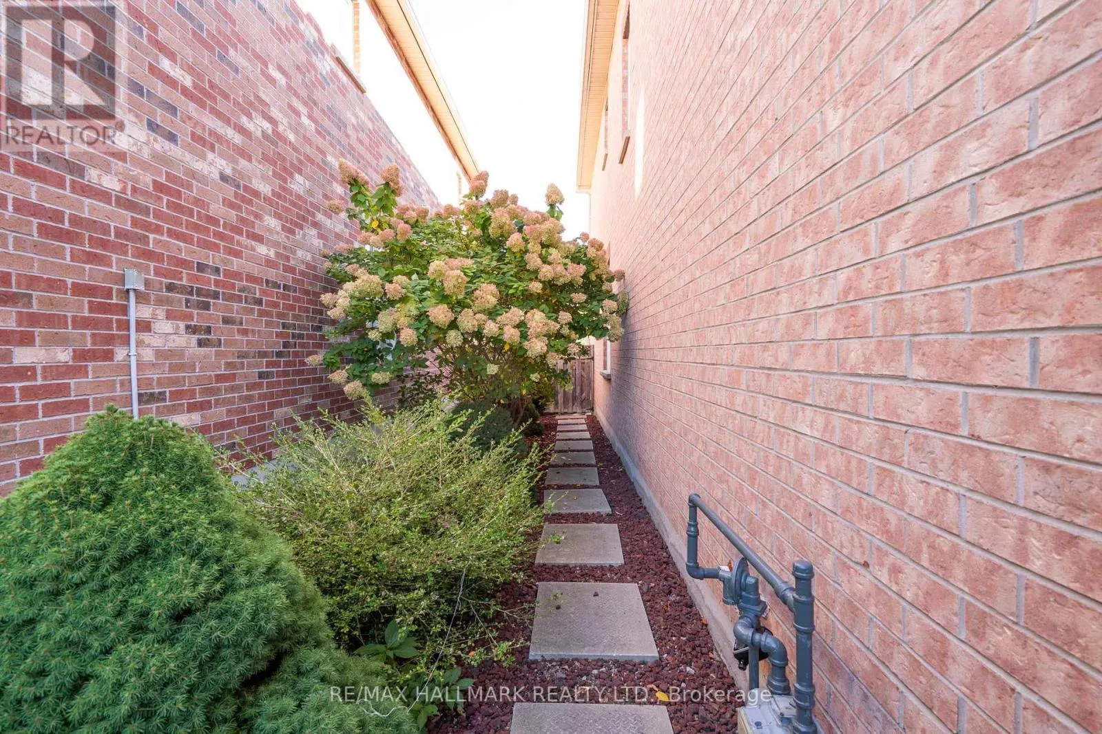21 BROOKS AVENUE