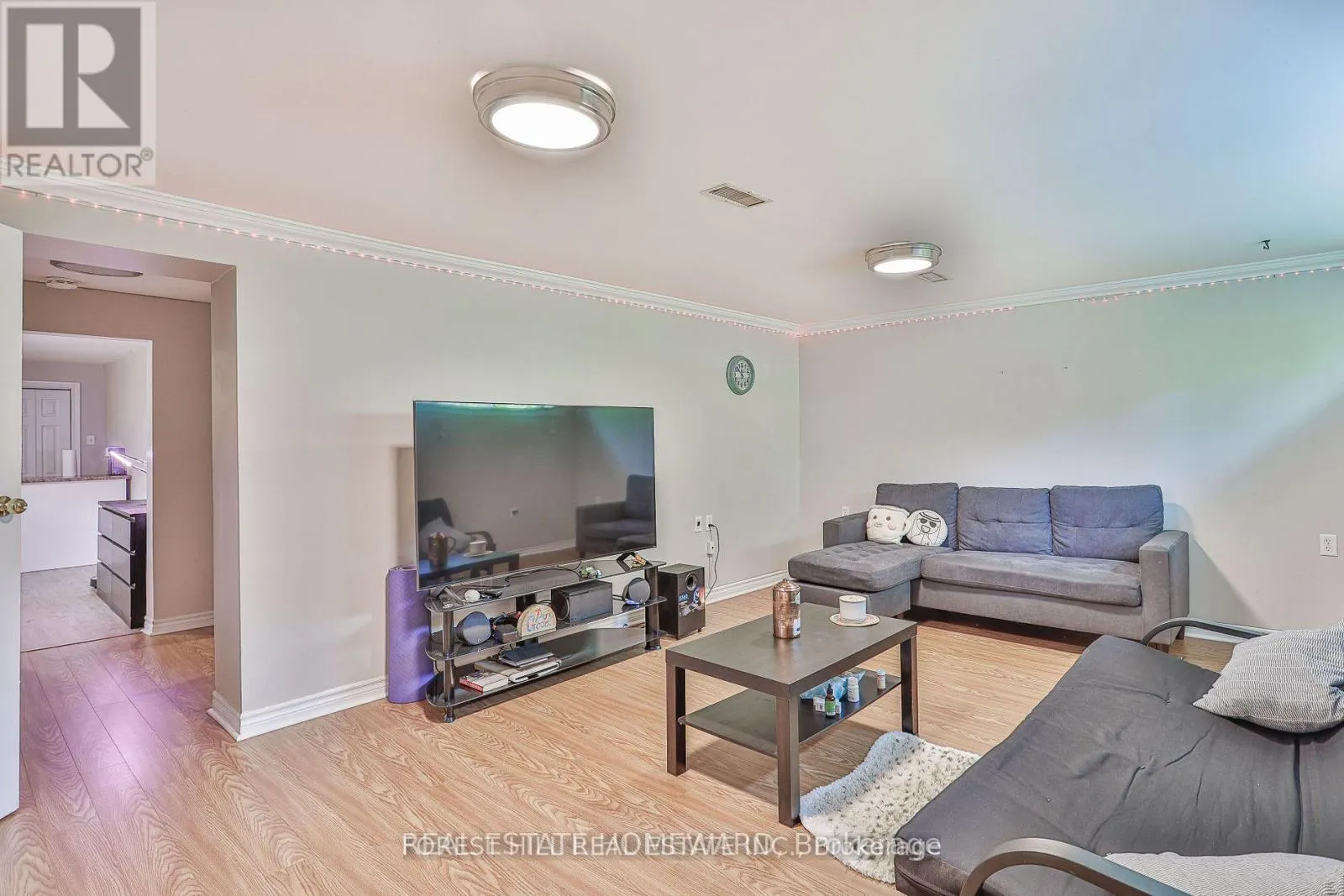 (BASEMENT) - 220 NEAL DRIVE