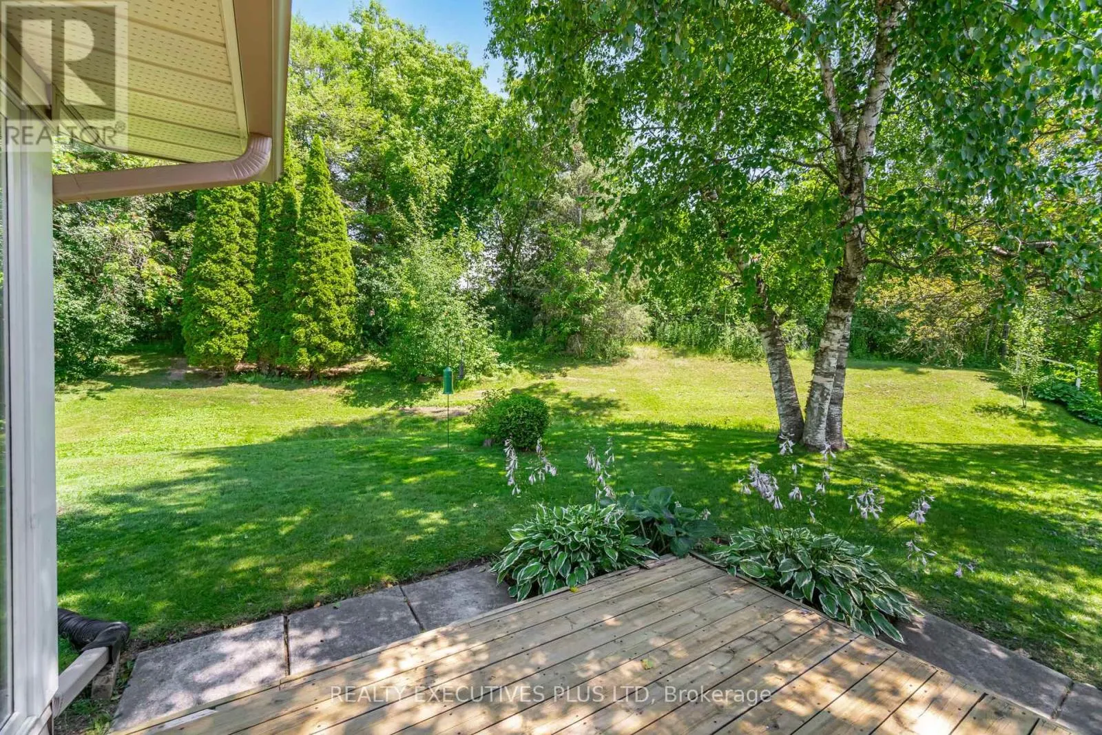 3 PINEVIEW COURT