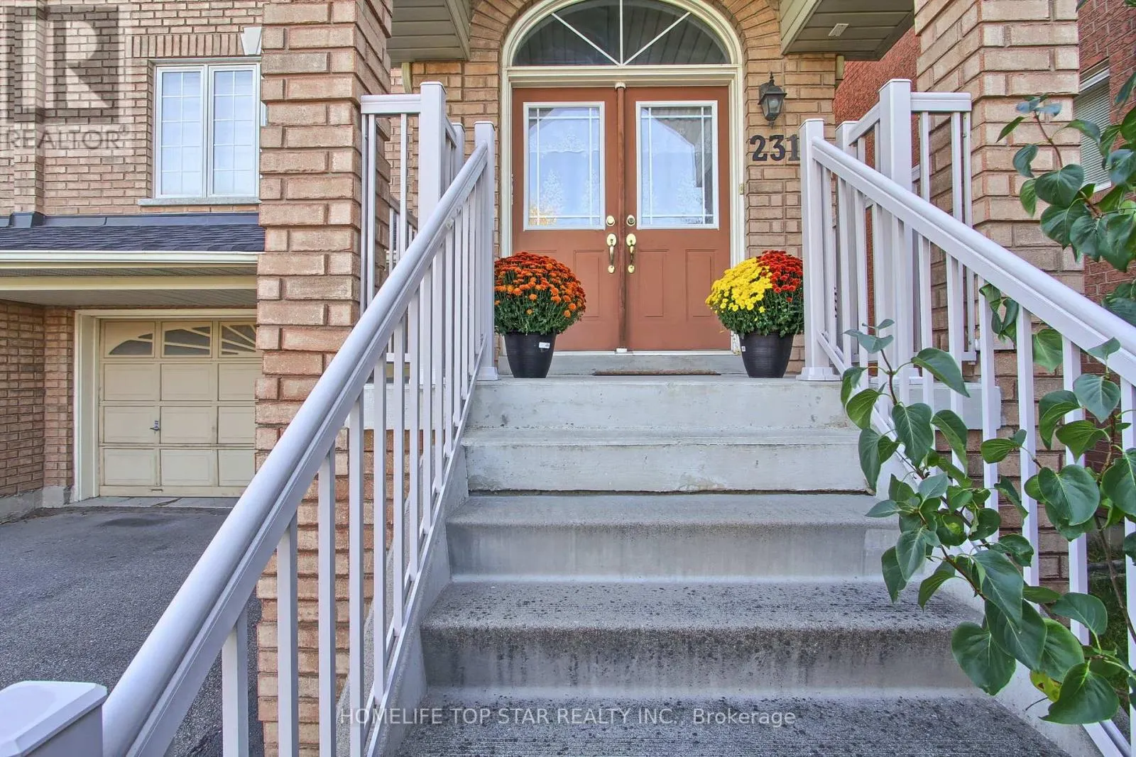 231 KNAPTON DRIVE