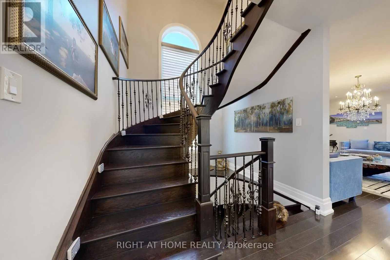 8 SPRINGBROOK DRIVE