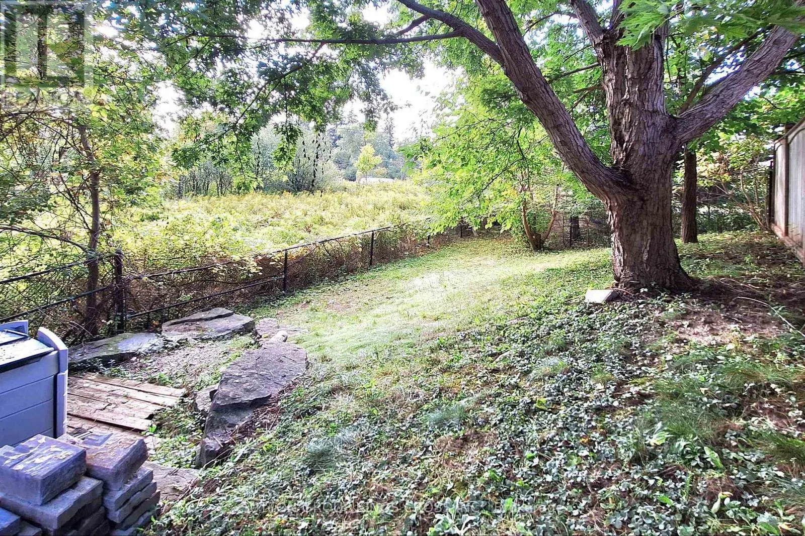 63 MISTLEFLOWER COURT