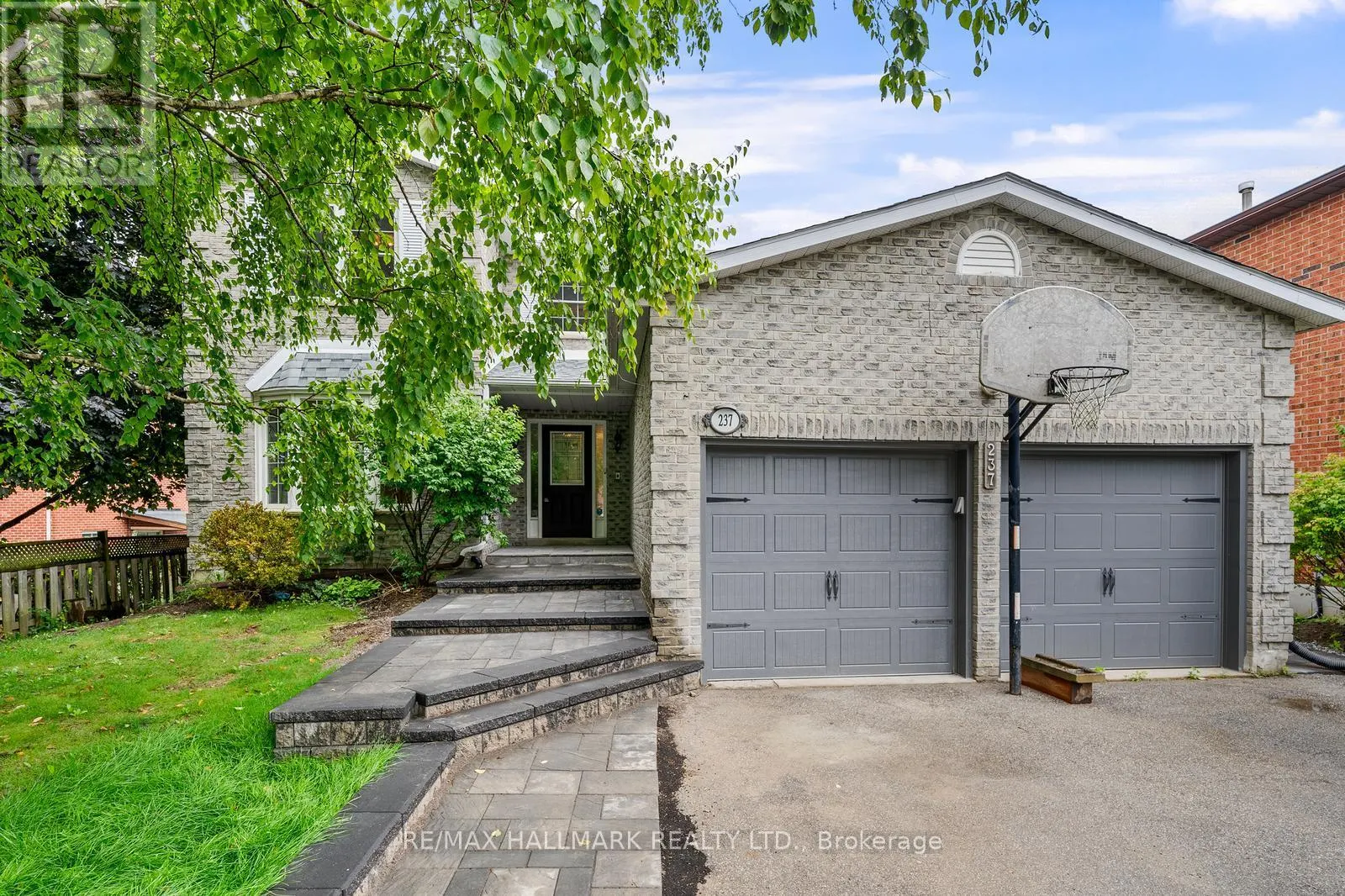 GROUND - 237 OSMOND CRESCENT