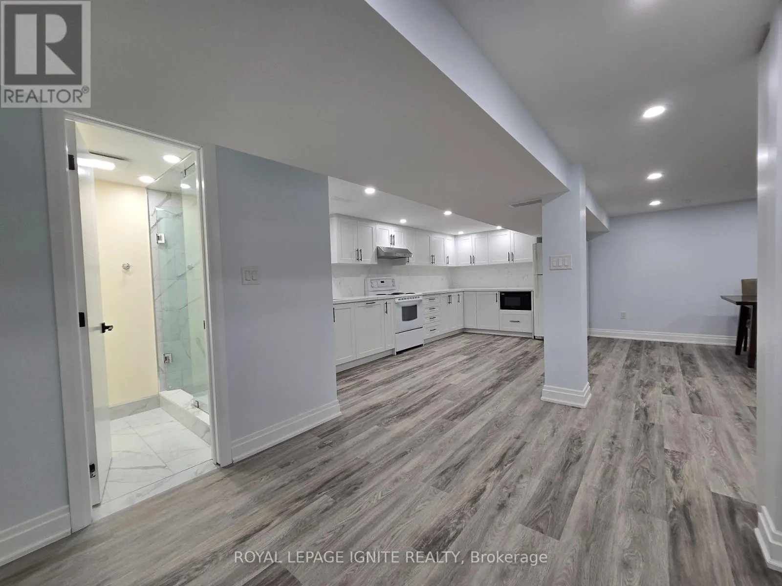BASEMENT - 764 ELGIN STREET