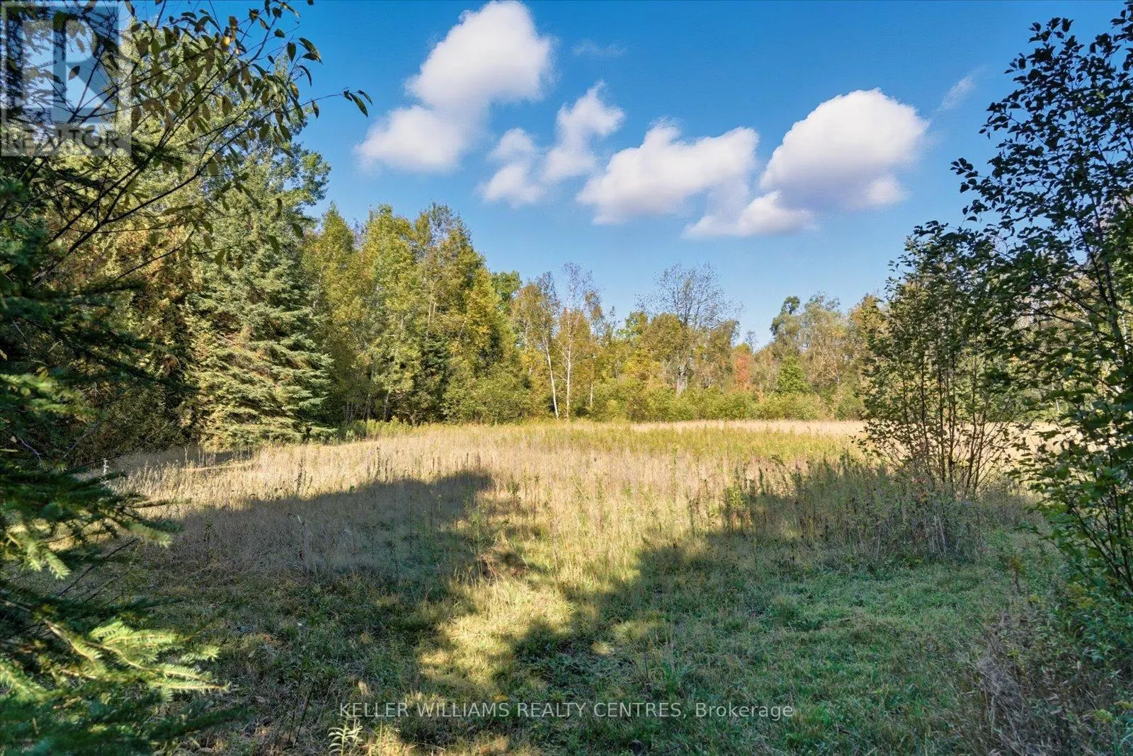 11601 CONCESSION 3 ROAD