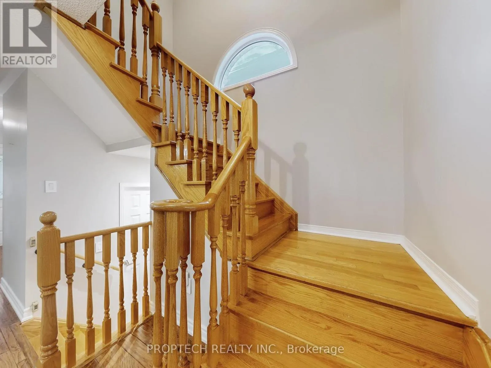 61 CARIGLIA TRAIL
