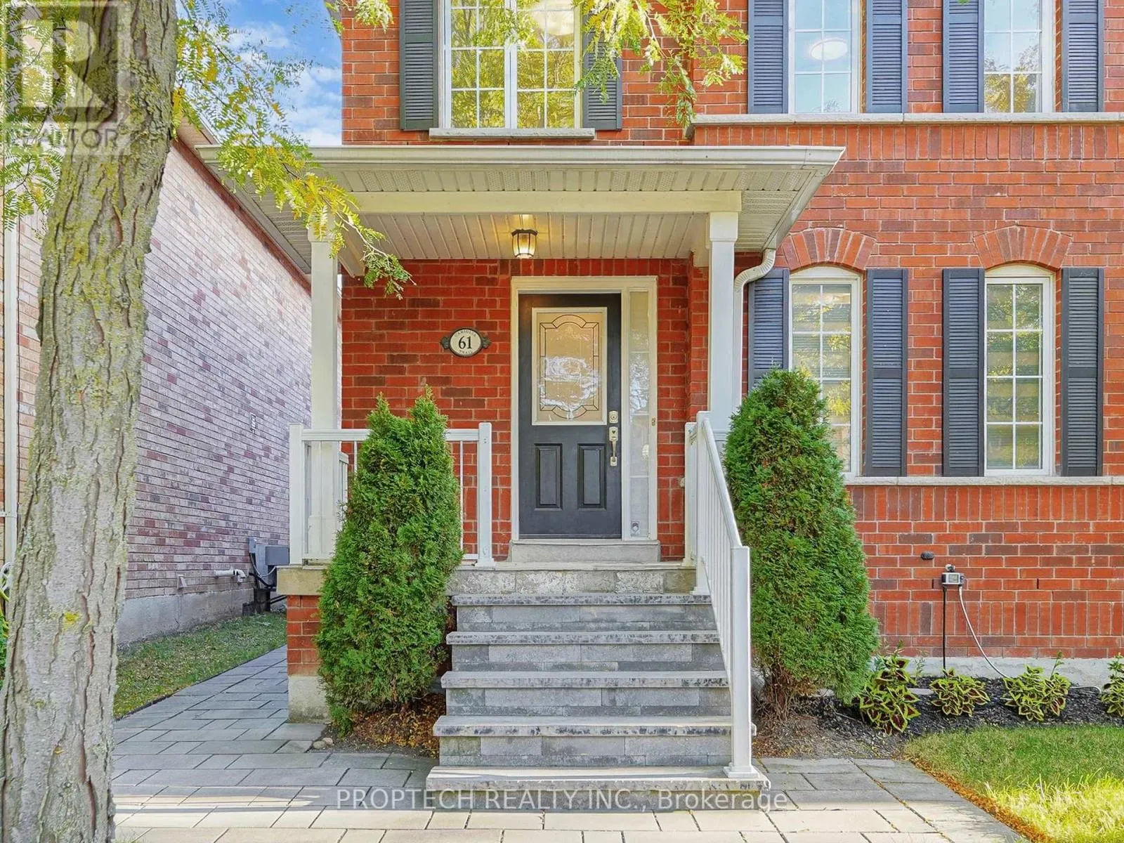 61 CARIGLIA TRAIL