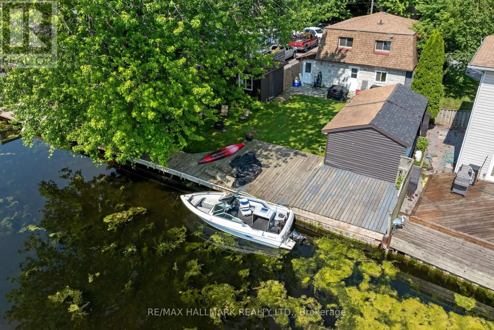 41 SHIRLEA BOULEVARD