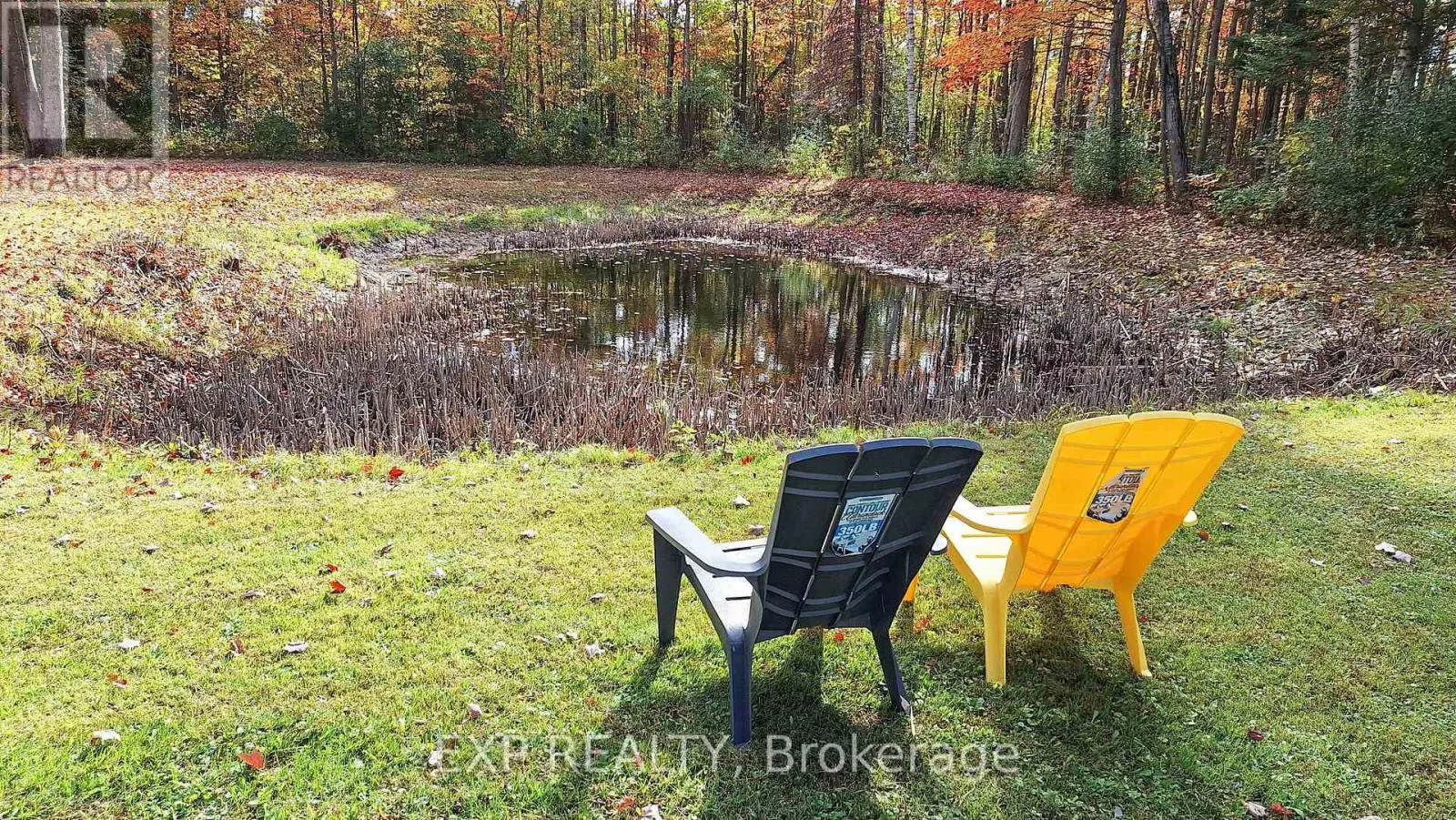 24762 WEIRS SIDE ROAD