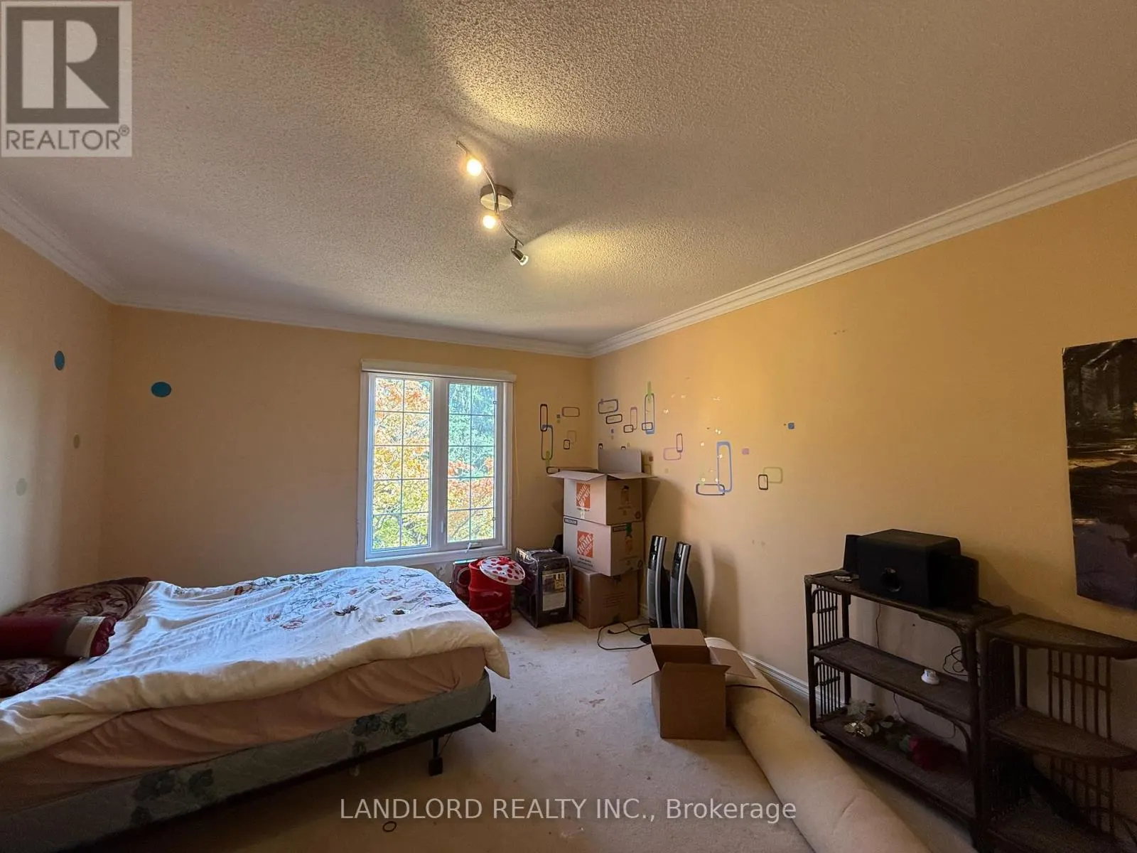 67 GLENAYR ROAD