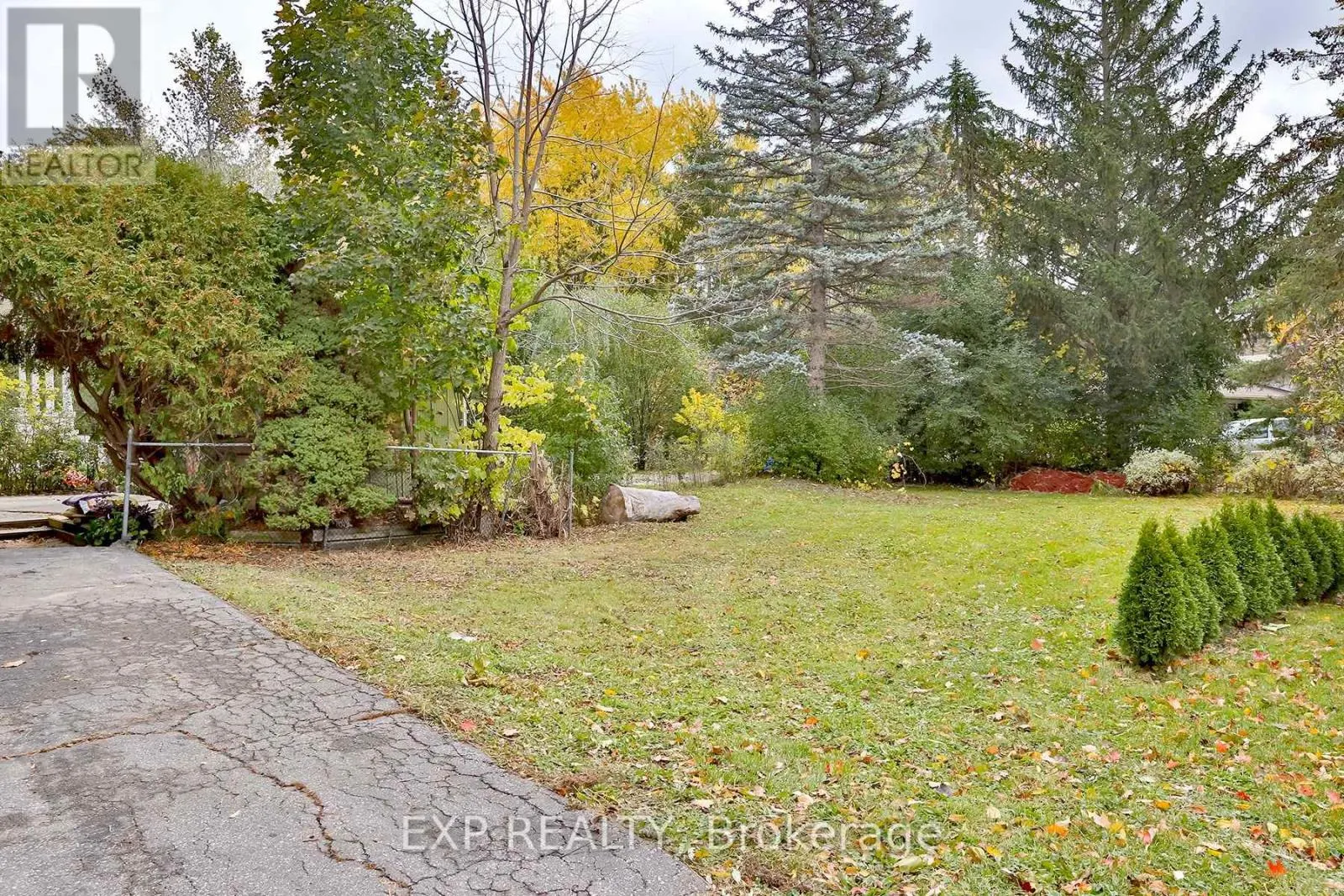 165 CARLSON DRIVE