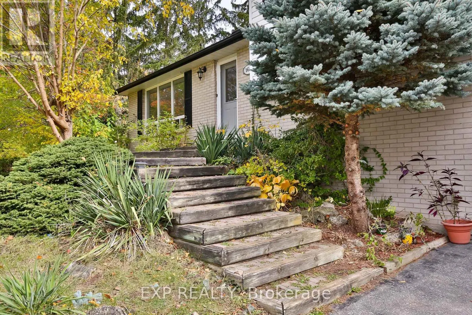 165 CARLSON DRIVE