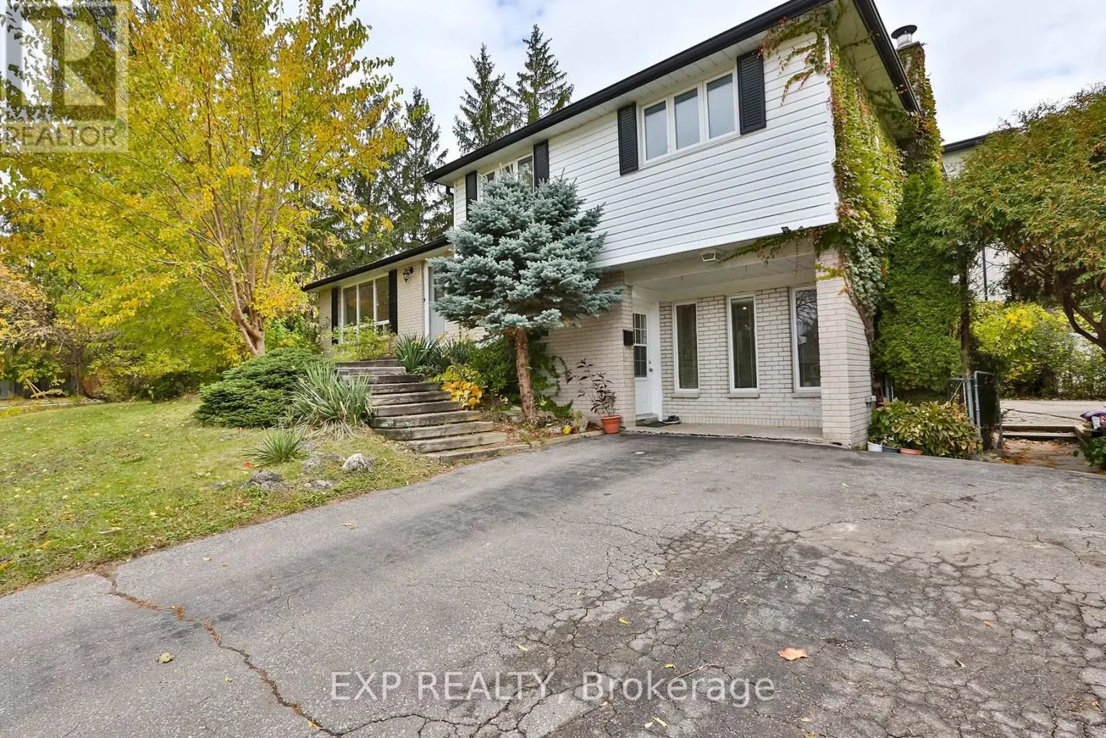165 CARLSON DRIVE