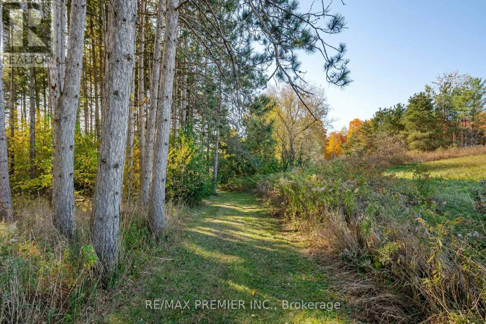 4904 10TH SIDE ROAD