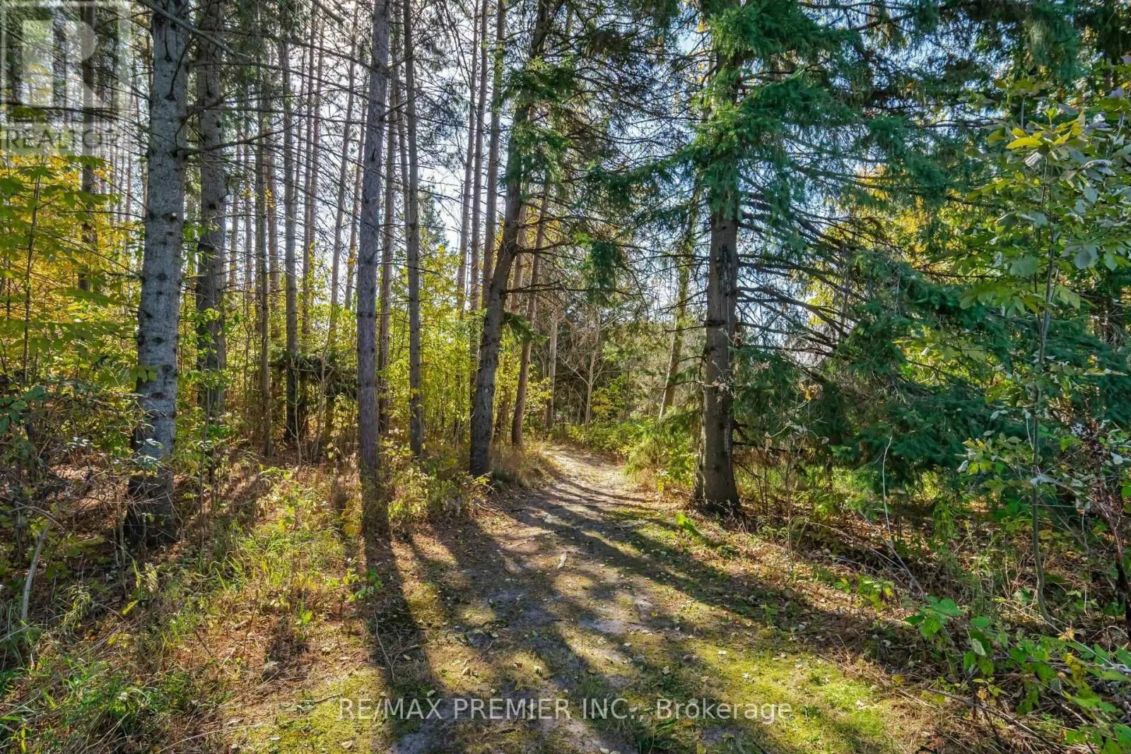 4904 10TH SIDE ROAD