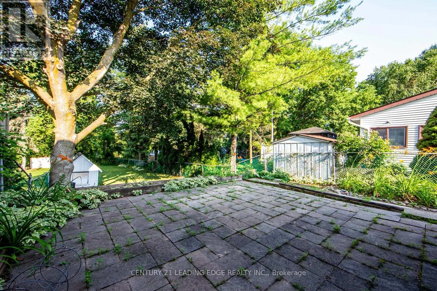 WALKOUT BASEMENT - 45 WALES AVENUE