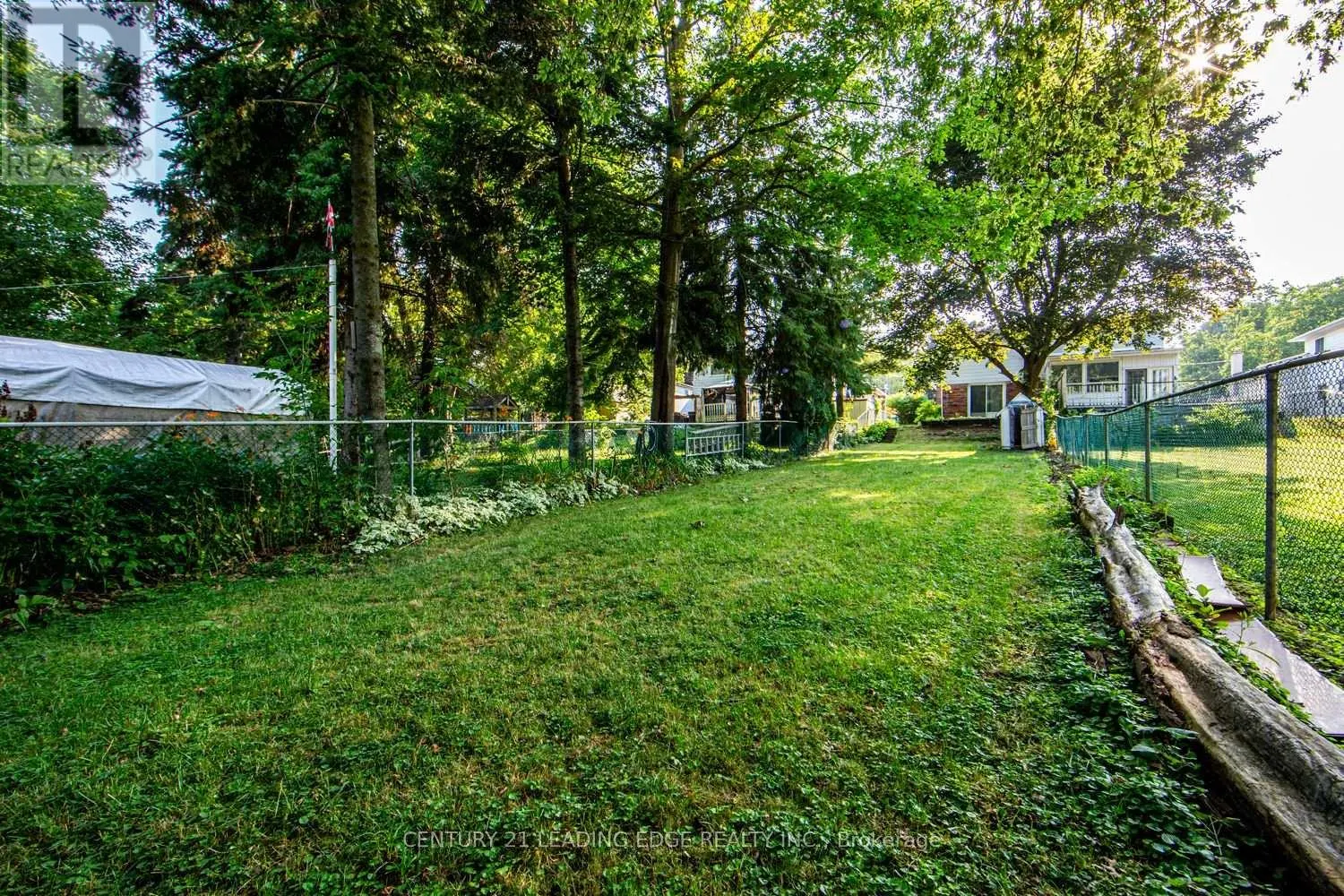 WALKOUT BASEMENT - 45 WALES AVENUE