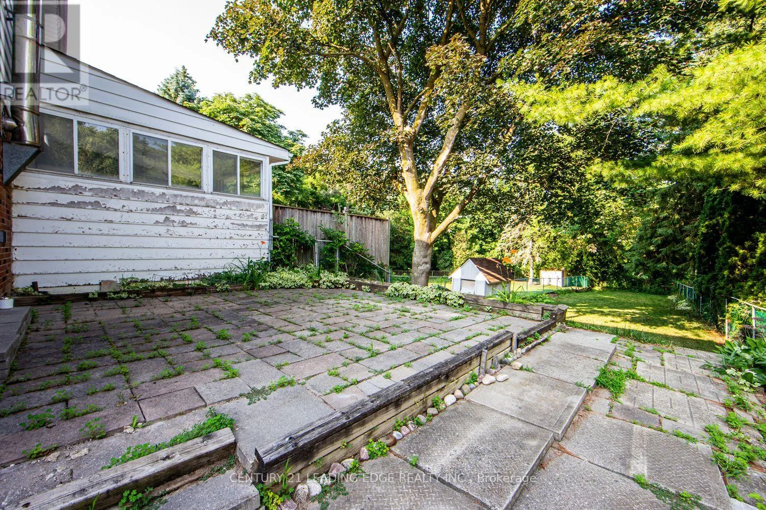 WALKOUT BASEMENT - 45 WALES AVENUE