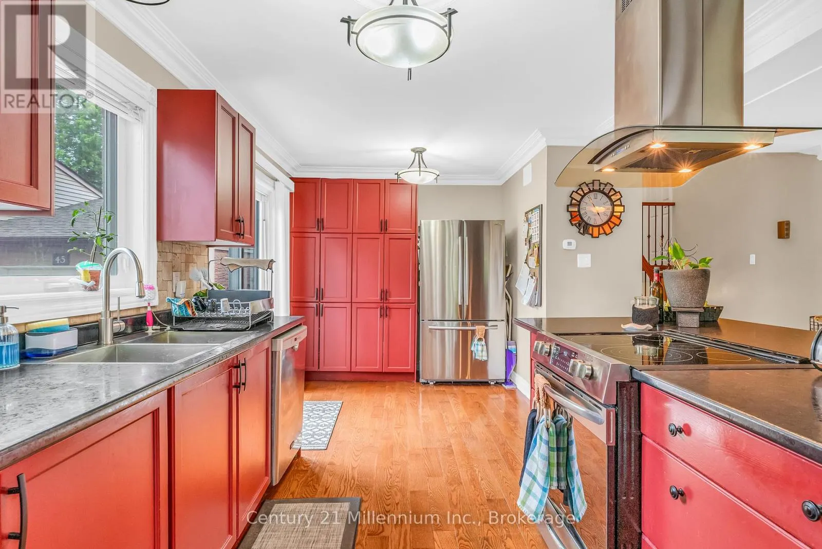 43 STODDART DRIVE