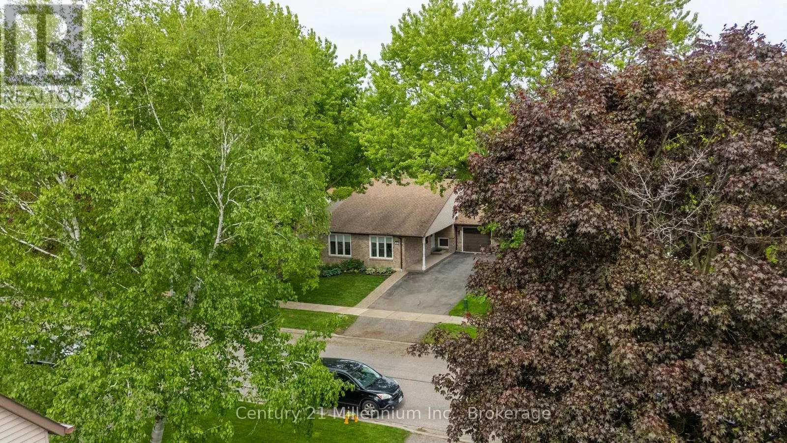 43 STODDART DRIVE