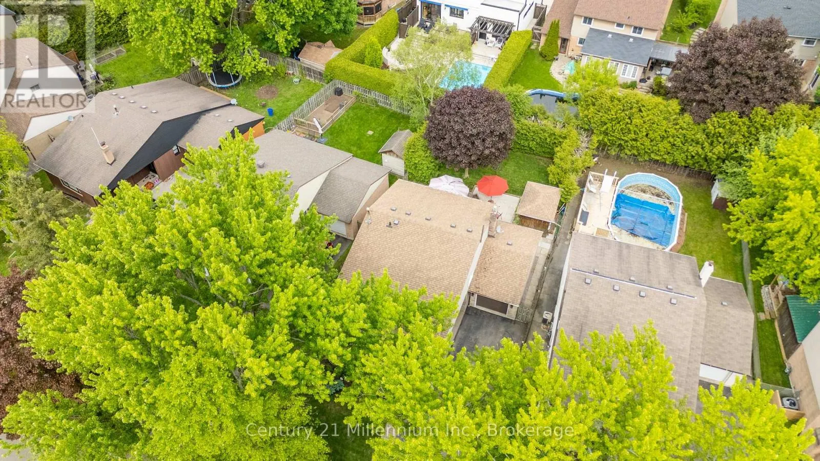 43 STODDART DRIVE