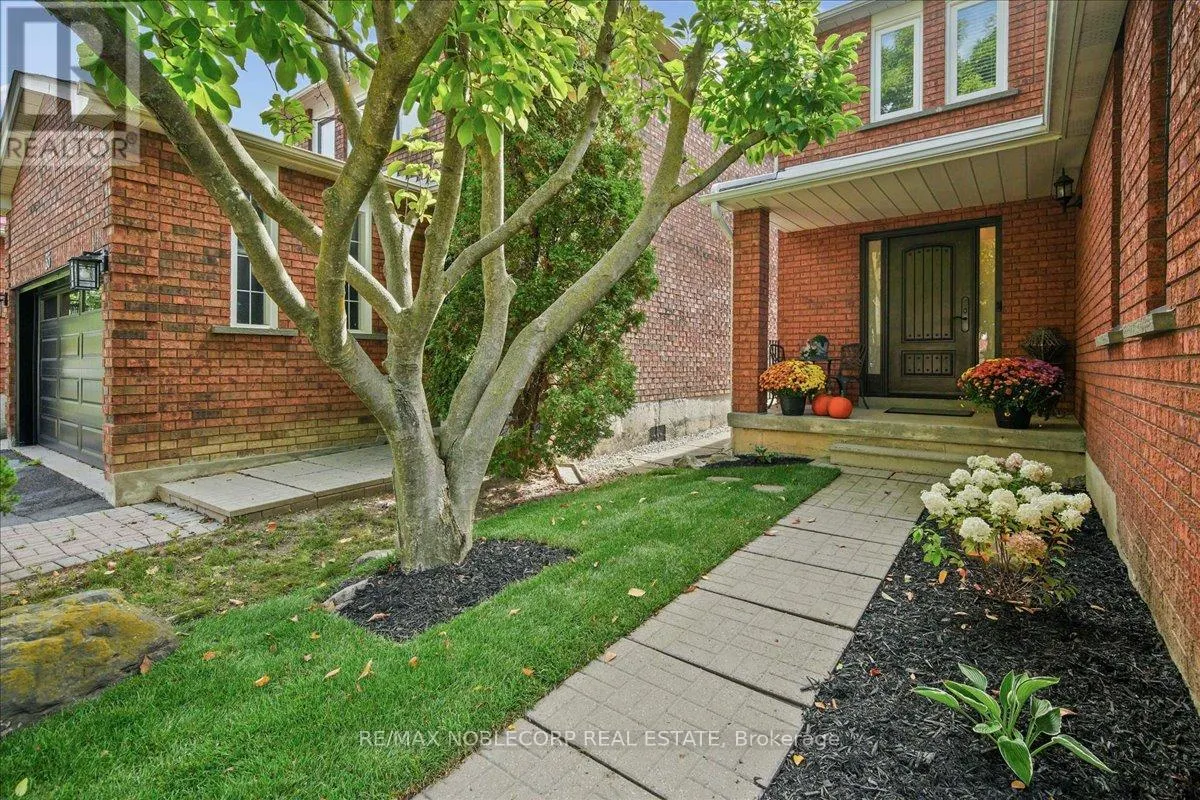 31 MOUNTFIELD CRESCENT