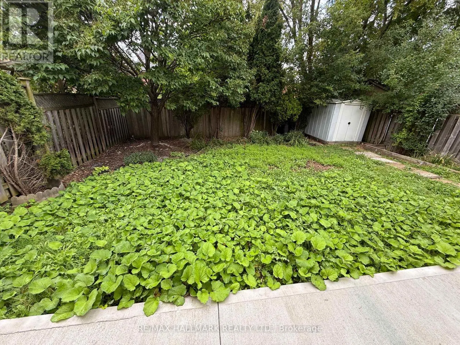 BSMT - 256 STONE ROAD