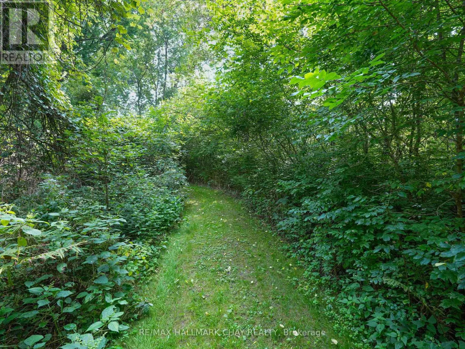 4146 CONCESSION 7 ROAD