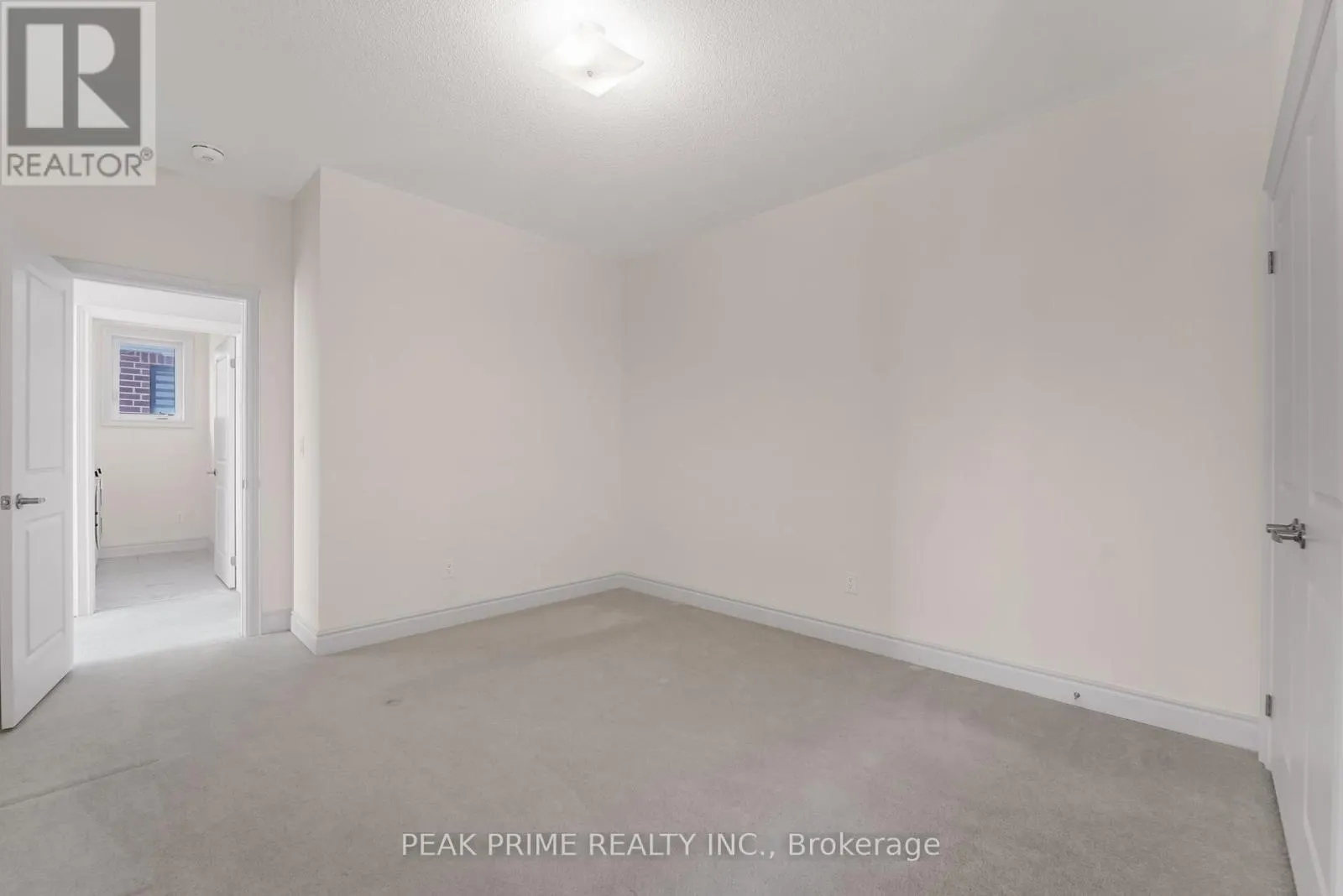 99 BLACK WALNUT COURT