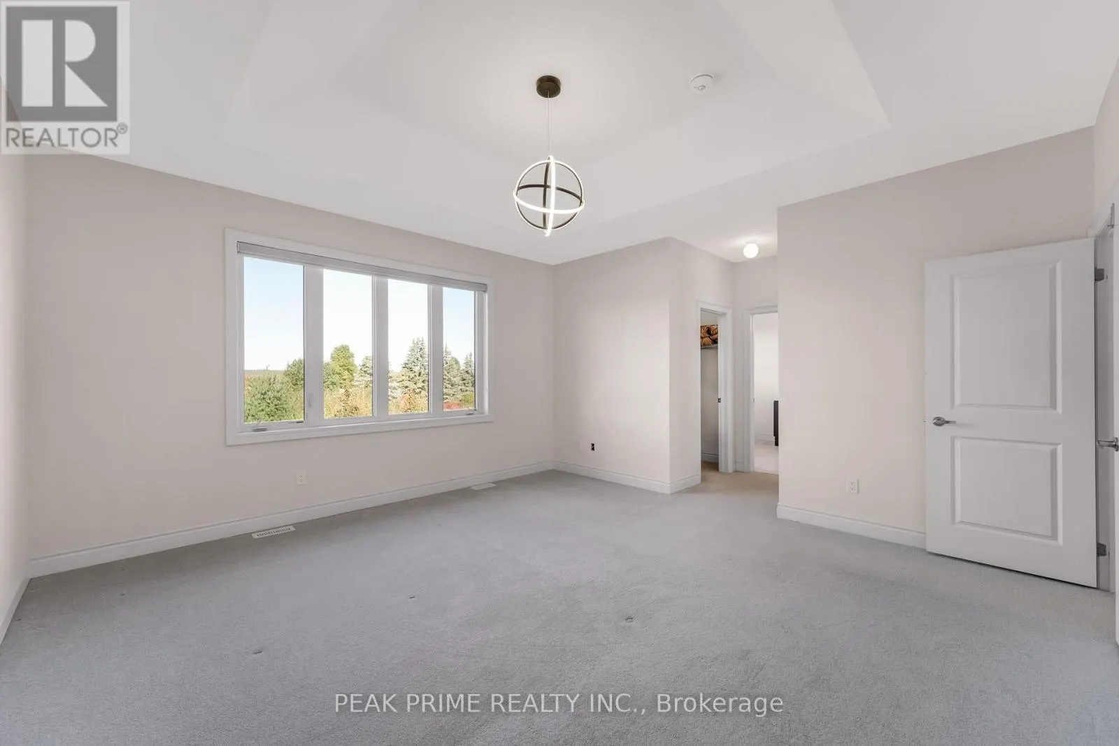 99 BLACK WALNUT COURT