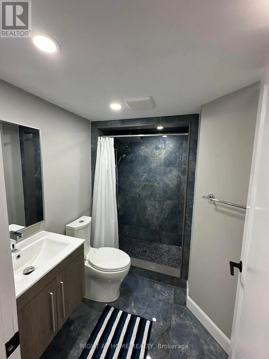 BASEMENT - 53 BURNABY DRIVE