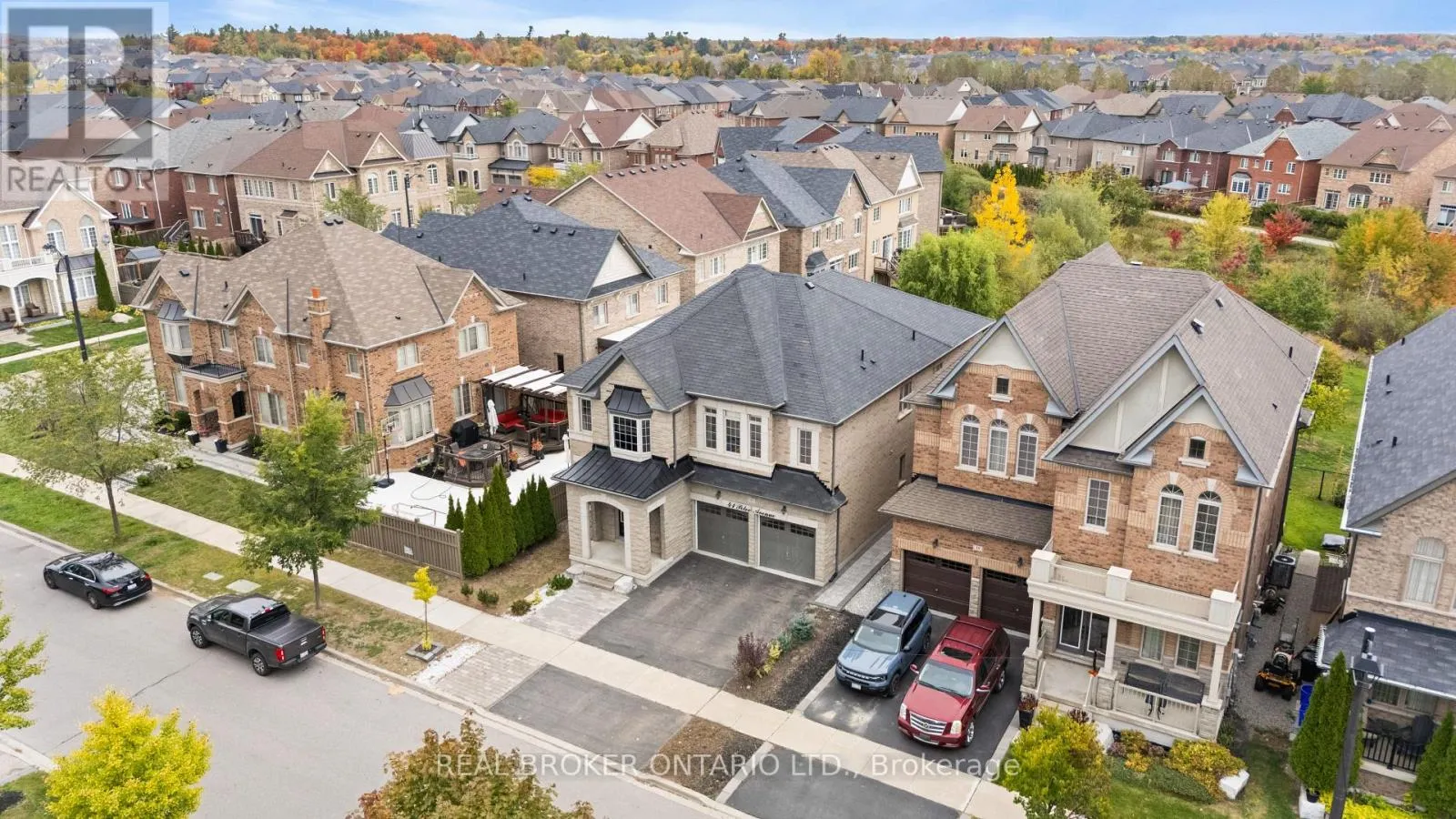 41 PELEE AVENUE