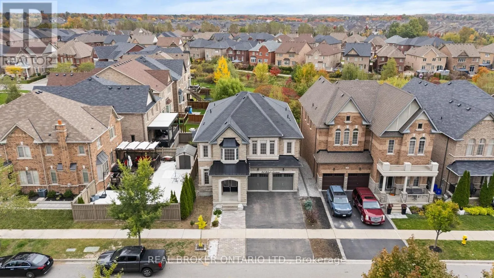 41 PELEE AVENUE