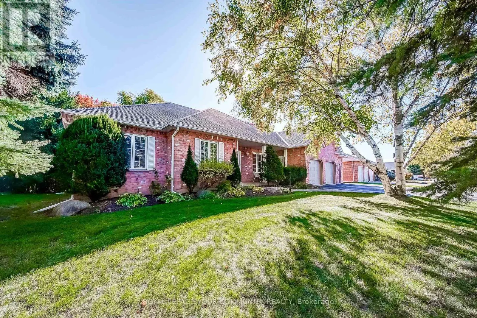53 DAVID WILLSON TRAIL