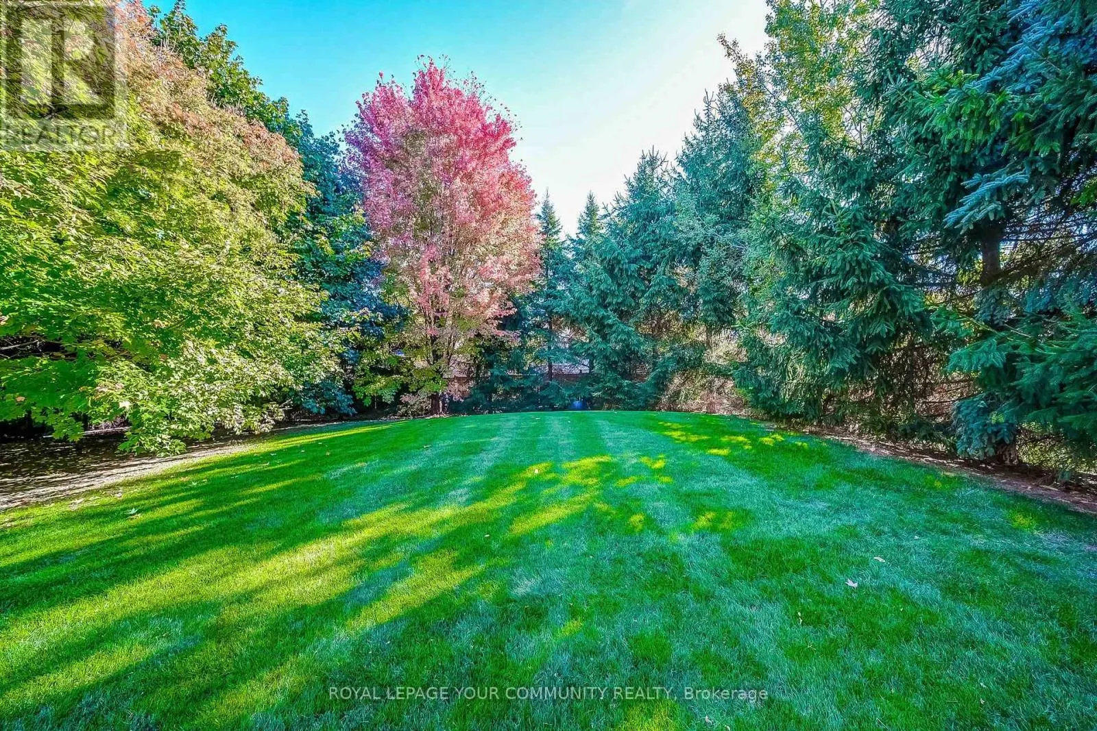 53 DAVID WILLSON TRAIL