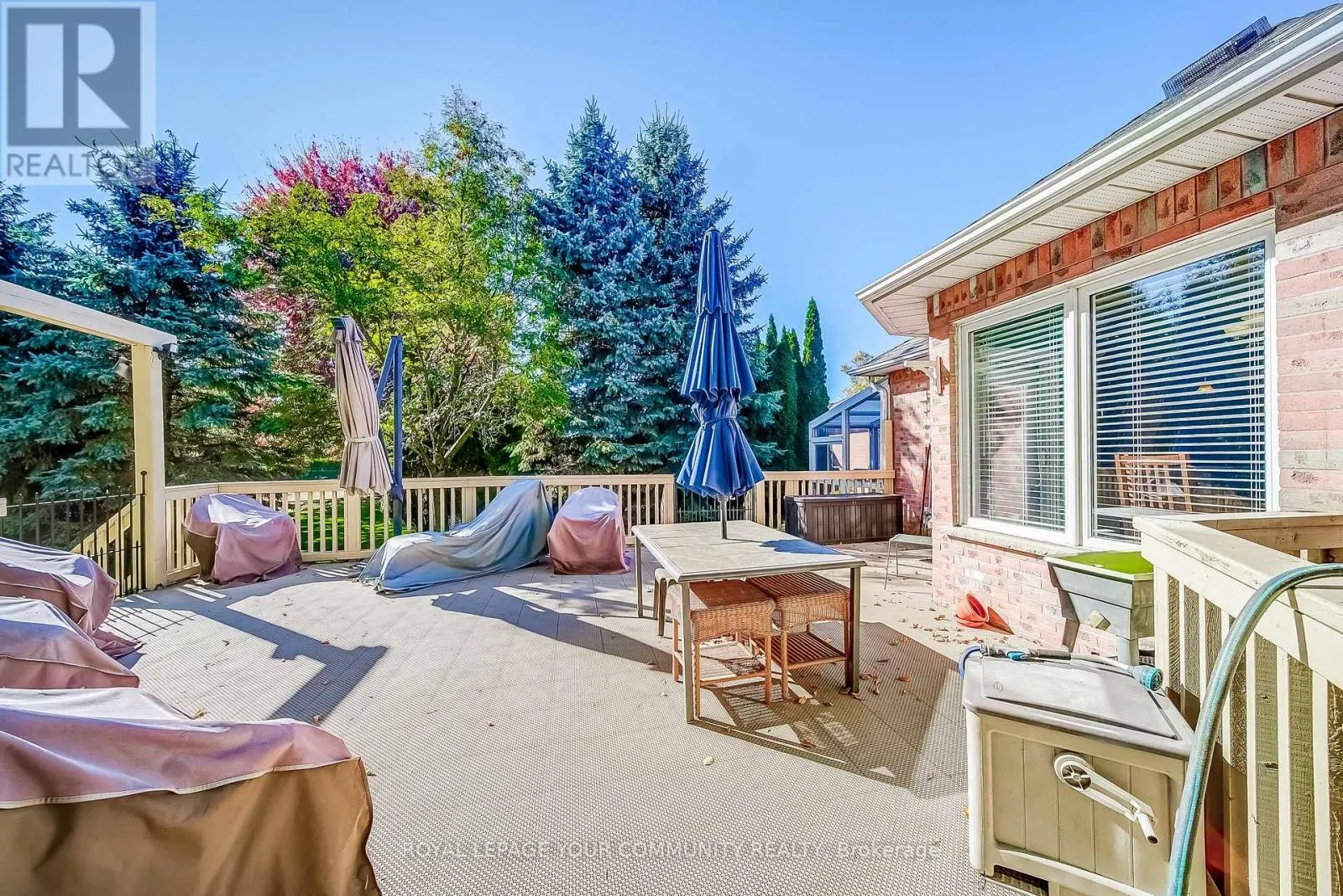 53 DAVID WILLSON TRAIL