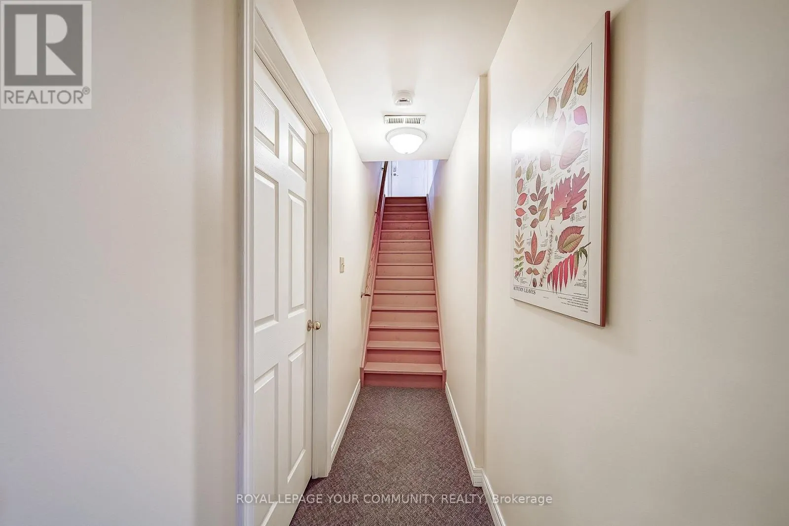 53 DAVID WILLSON TRAIL