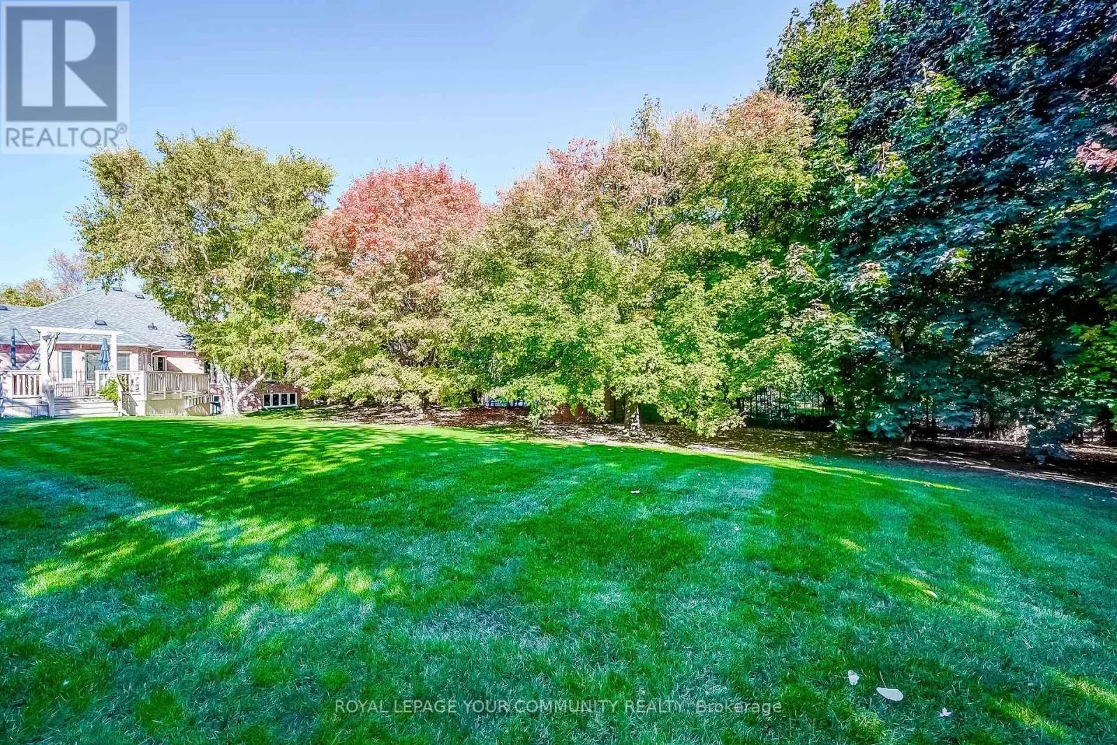53 DAVID WILLSON TRAIL