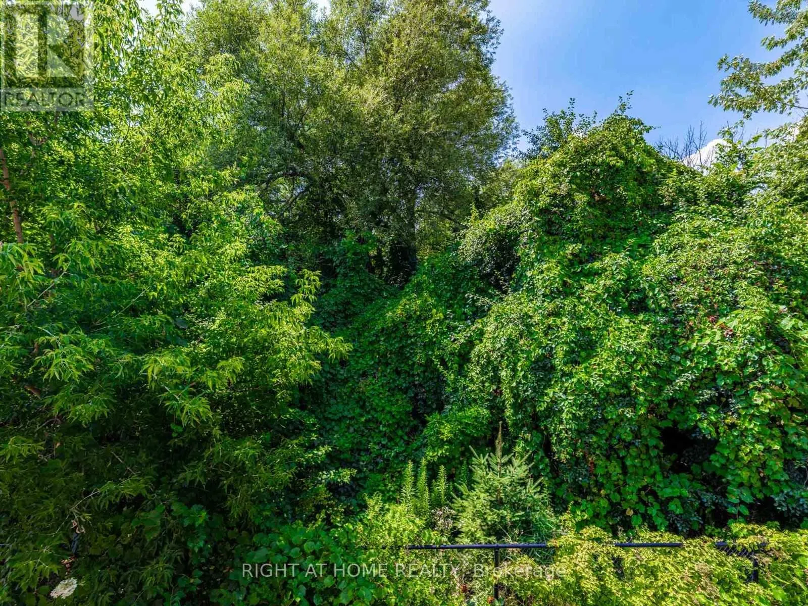 67 TIMNA CRESCENT