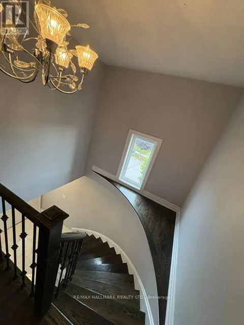 MAIN - 19 WYMAN CRESCENT