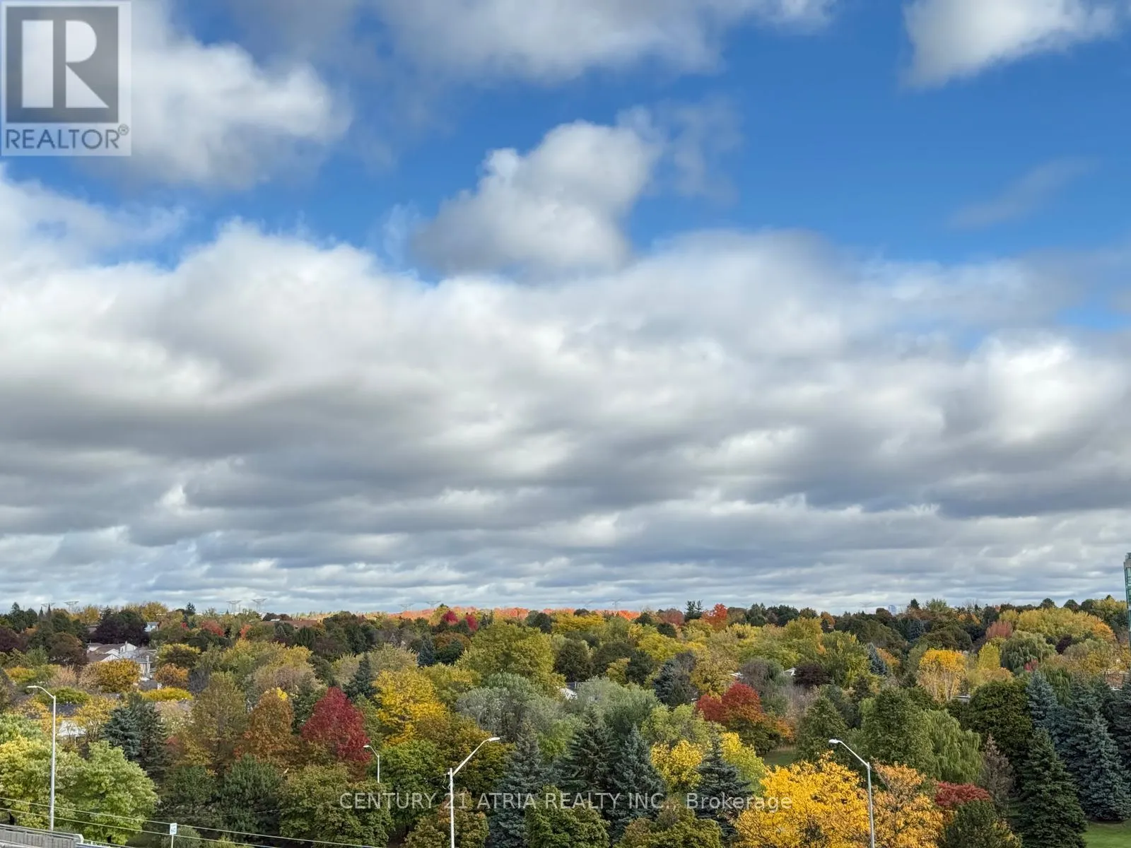 715 - 399 ROYAL ORCHARD BOULEVARD