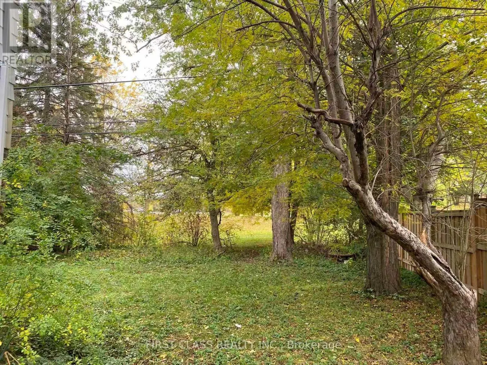 MAIN& BASEMENT - 65 DRAKEFIELD ROAD