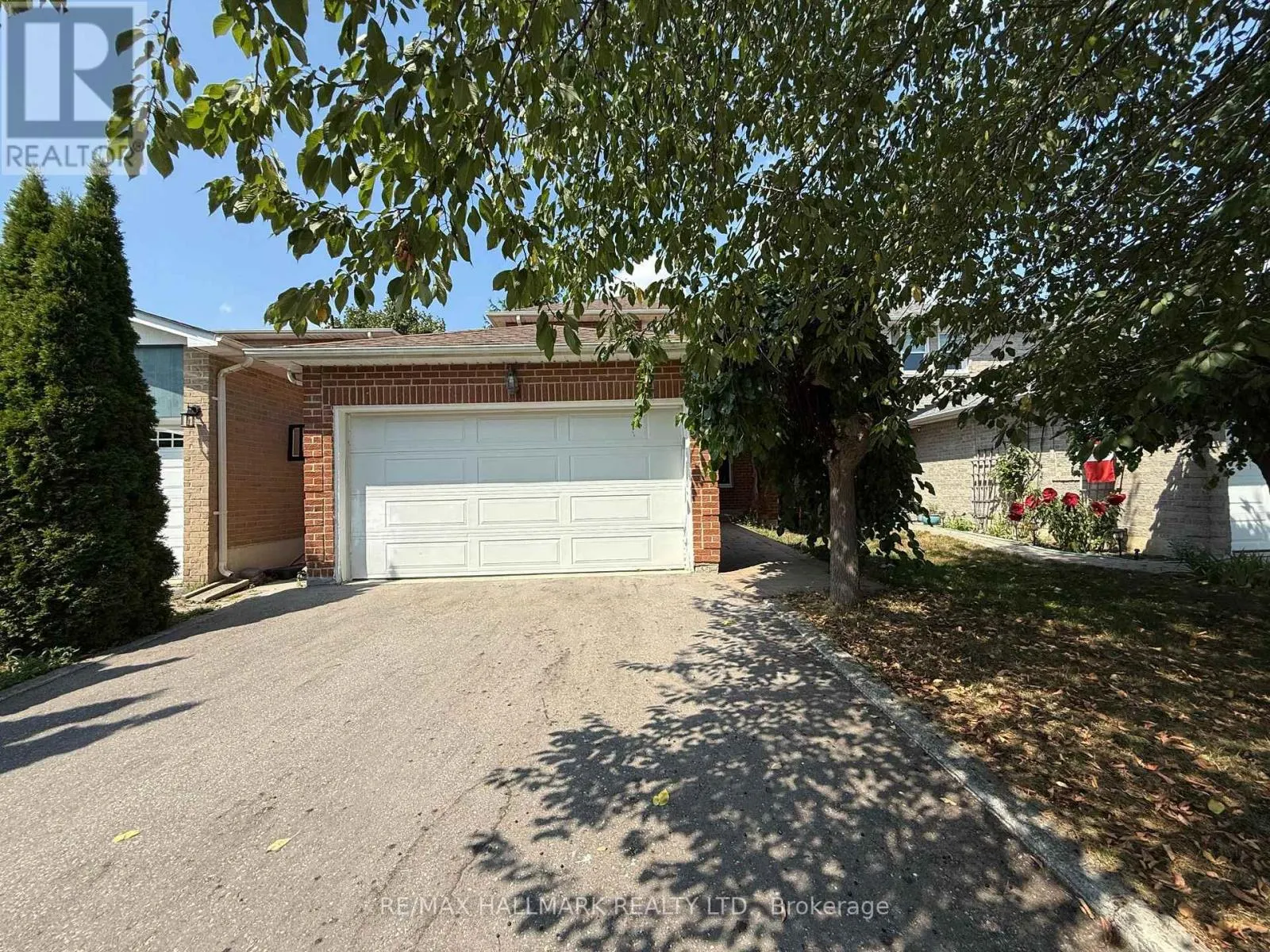 BASEMENT - 60 LUND STREET