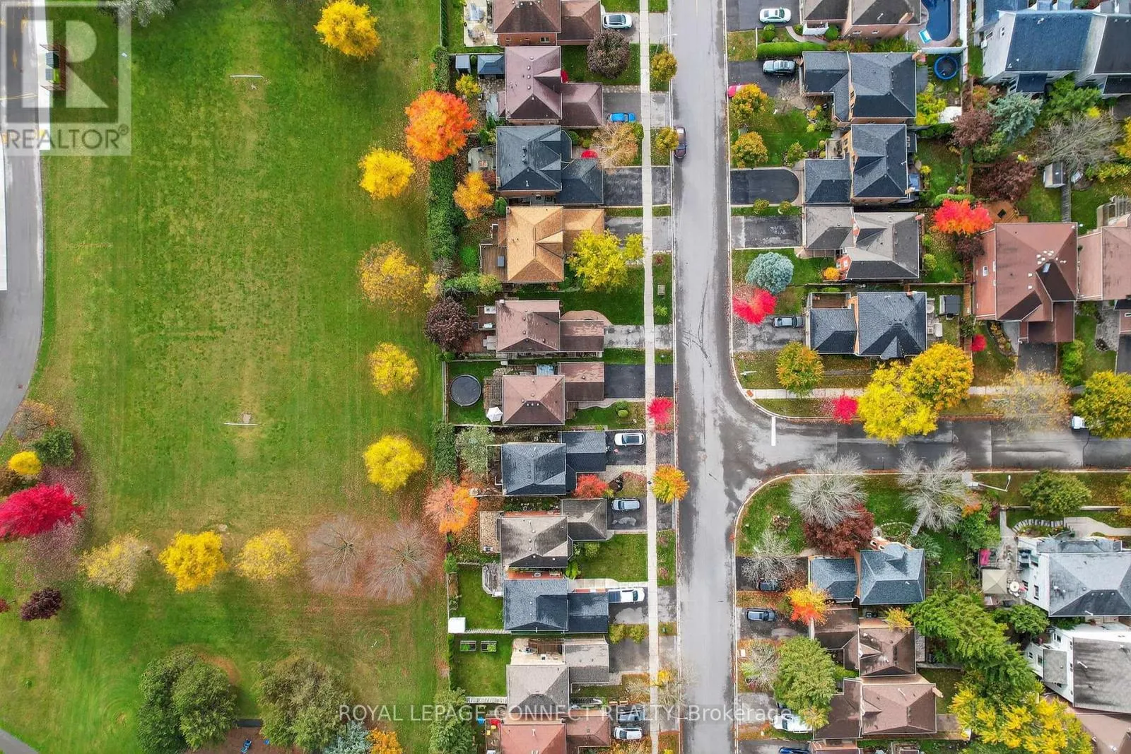 22 CRAWFORD ROSE DRIVE