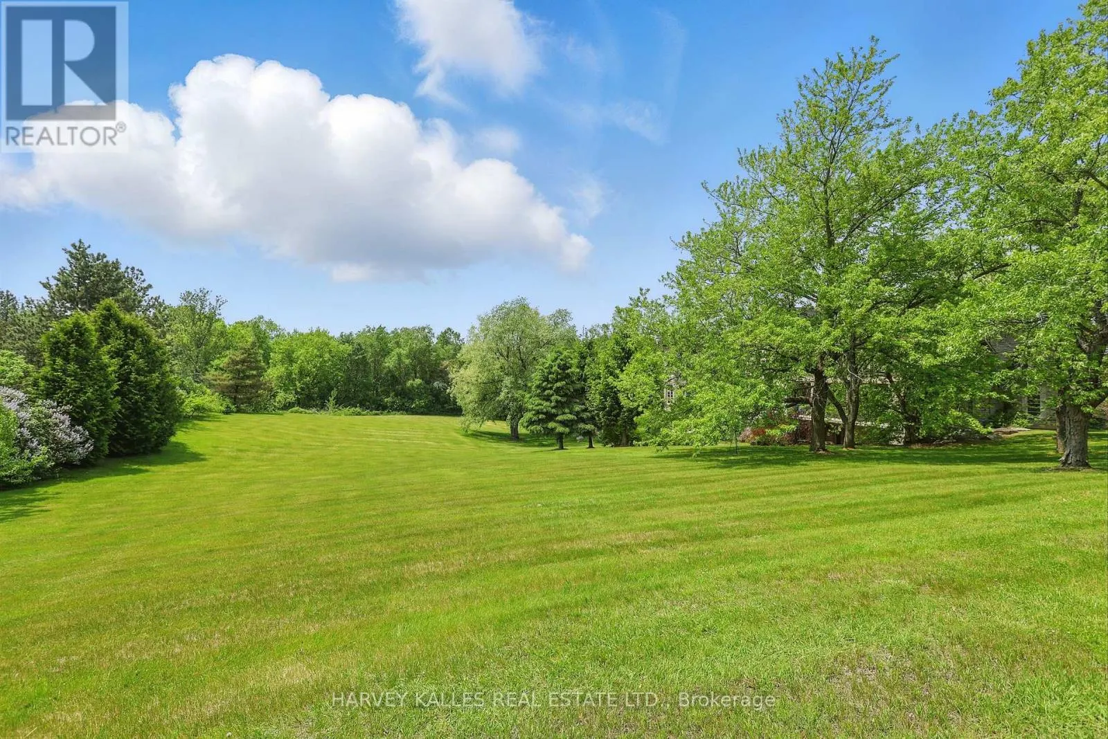 443 DEARBOURNE AVENUE