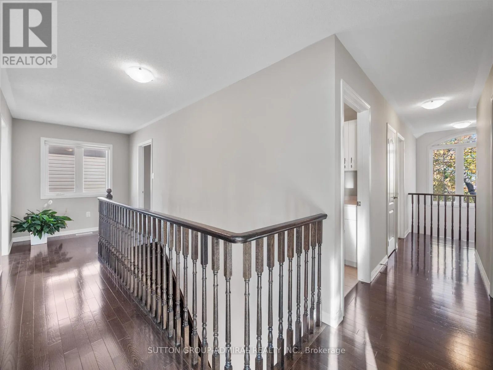 79 WILLIAMSON FAMILY HOLLOW