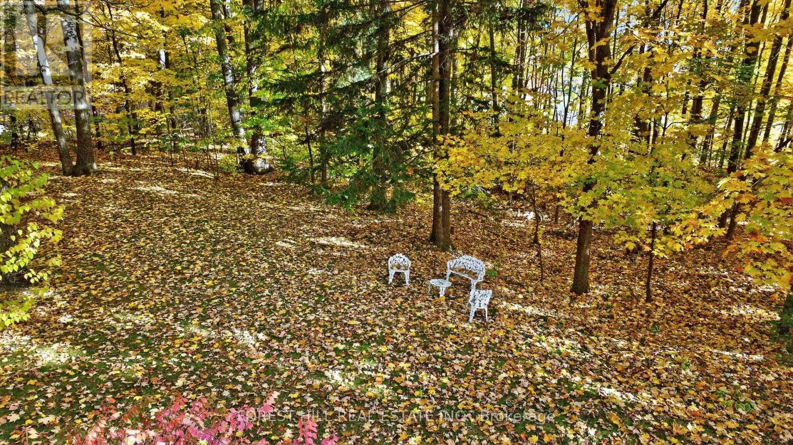 124 FOREST RIDGE ROAD