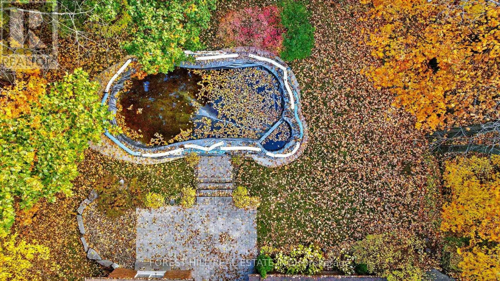 124 FOREST RIDGE ROAD